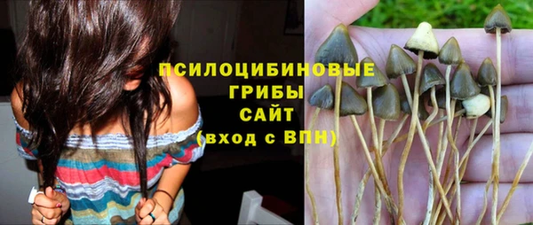 ешки Богданович