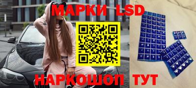 прущие грибы Кандалакша