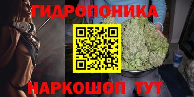 прущие грибы Кандалакша