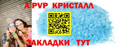 прущие грибы Кандалакша