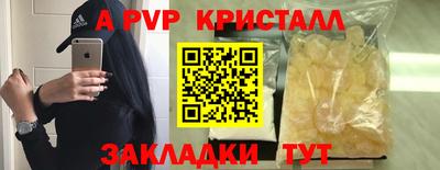 прущие грибы Кандалакша