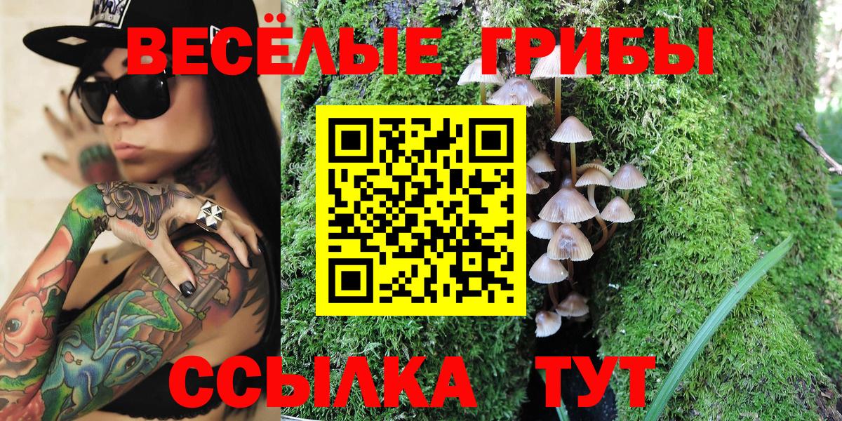 Псилоцибиновые грибы Psilocybine cubensis Липецк
