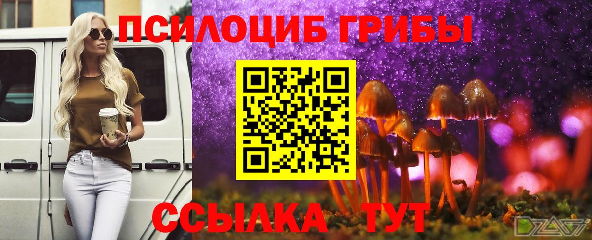 Псилоцибиновые грибы Psilocybe  Вход с VPN  Липецк 