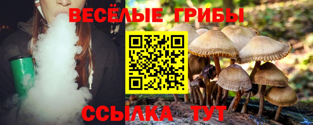 Галлюциногенные грибы прущие грибы  Липецк 